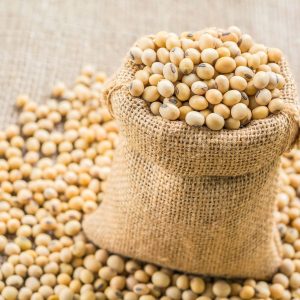 Soya Beans